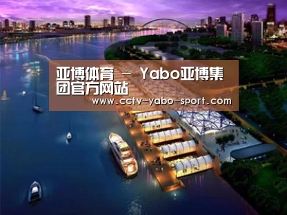 案例展示八