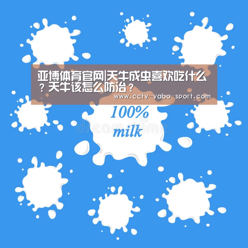 亚博体育