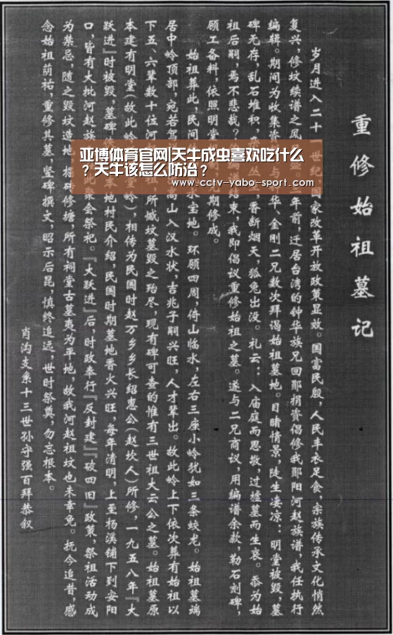 亚博体育官网