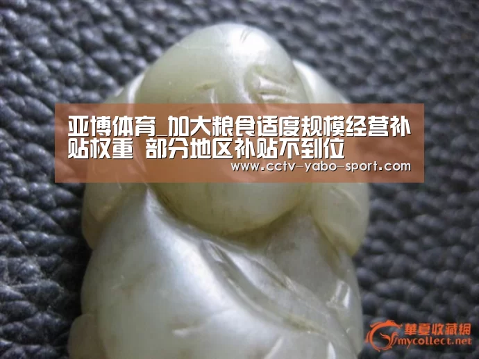亚博体育_加大粮食适度规模经营补贴权重 部分地区补贴不到位(图1) 亚博体育官网